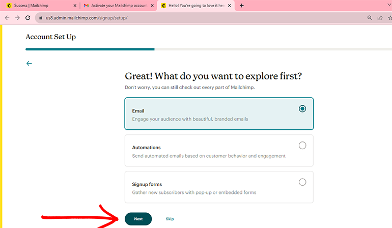 check what you want to explore in mailchimp account