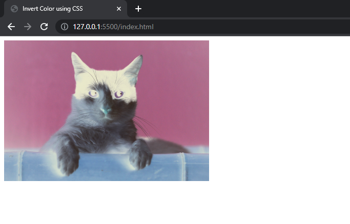 inverted image color with css