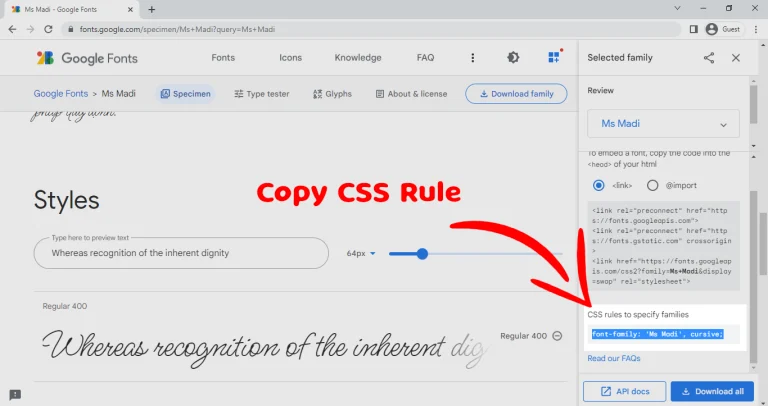 copy CSS rule to apply google font