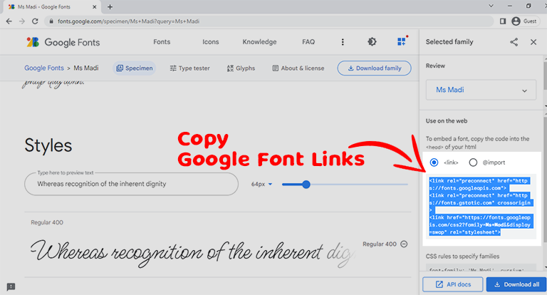 copy selected google fonts link