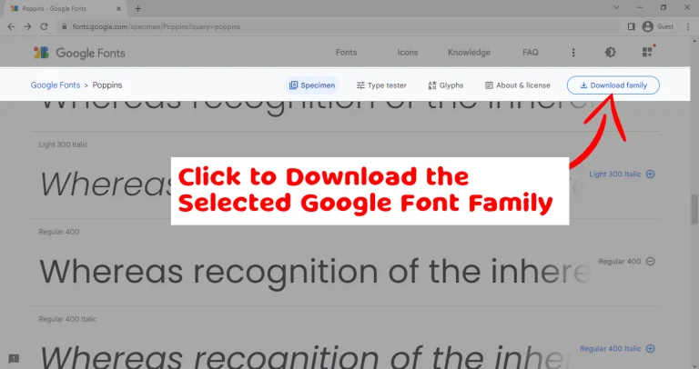download google font