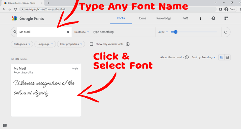 type name and select google font