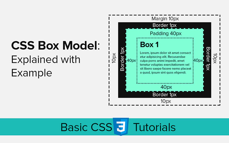 CSS box model
