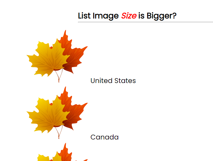 list-image-style size example