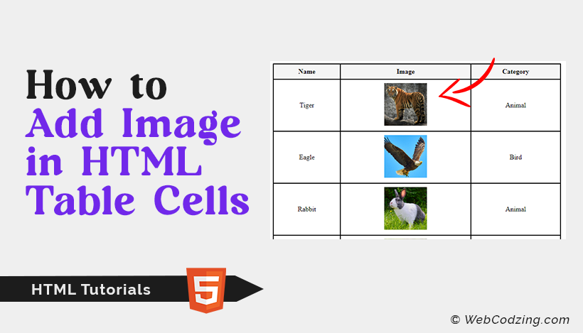 Add Image in Table Cell HTML